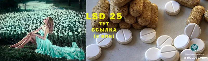 блэк спрут ССЫЛКА  Грязи  ЛСД экстази ecstasy  закладки 